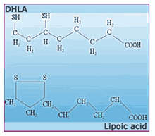  DHLA Diagram 