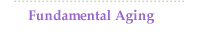 Fundamental Aging